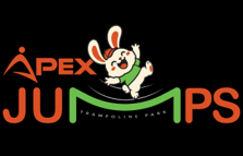 Apex Jumps Trampoline Park