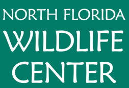 North Florida Wildlife Center