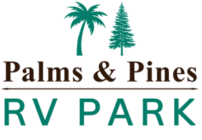 Palms & Pines
